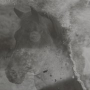 Review: Lynhood - Septembre