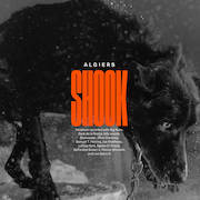 Review: Algiers - Shook