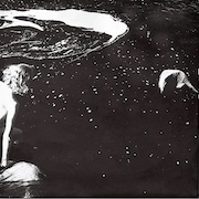 Review: Alice Phoebe Lou - Shelter