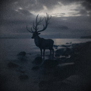 Review: Atlantic - Black Sands