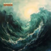 Review: The Satellite Year - Shipwreck