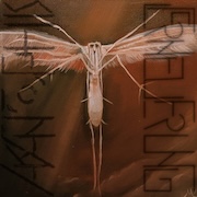 Akantophis: Erneuerung