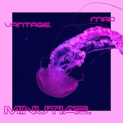 Review: Mad Vantage - Minutiae.