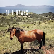 Review: Nighthawks - Paris Dakar - Vinyl-Edition