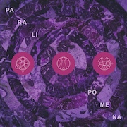 Pillars Of Cacophony: Paralipomena